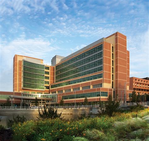 medical administrative program gainesville|Administrative Fellowship Program » UF Health » University of .